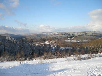winterzicht